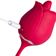 Fiona Plus – Duet Licking & Vibrating Rose Vibe